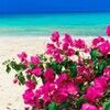 coastalvb